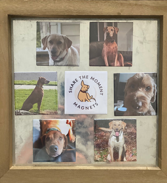 Custom Photo Magnets Set of 6