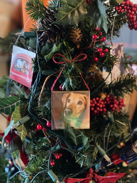Custom Photo Ornaments (Set of 6)