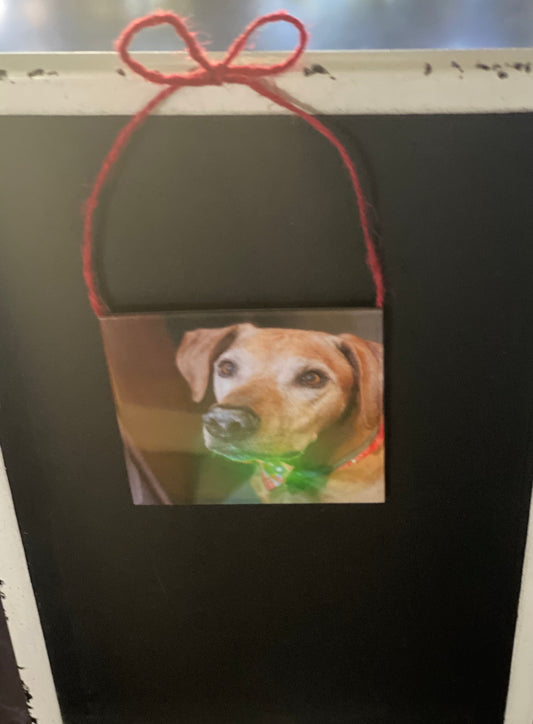 Custom Photo Ornaments (Set of 6)