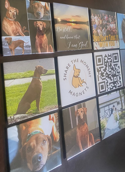 Custom Photo Magnets Set of 6
