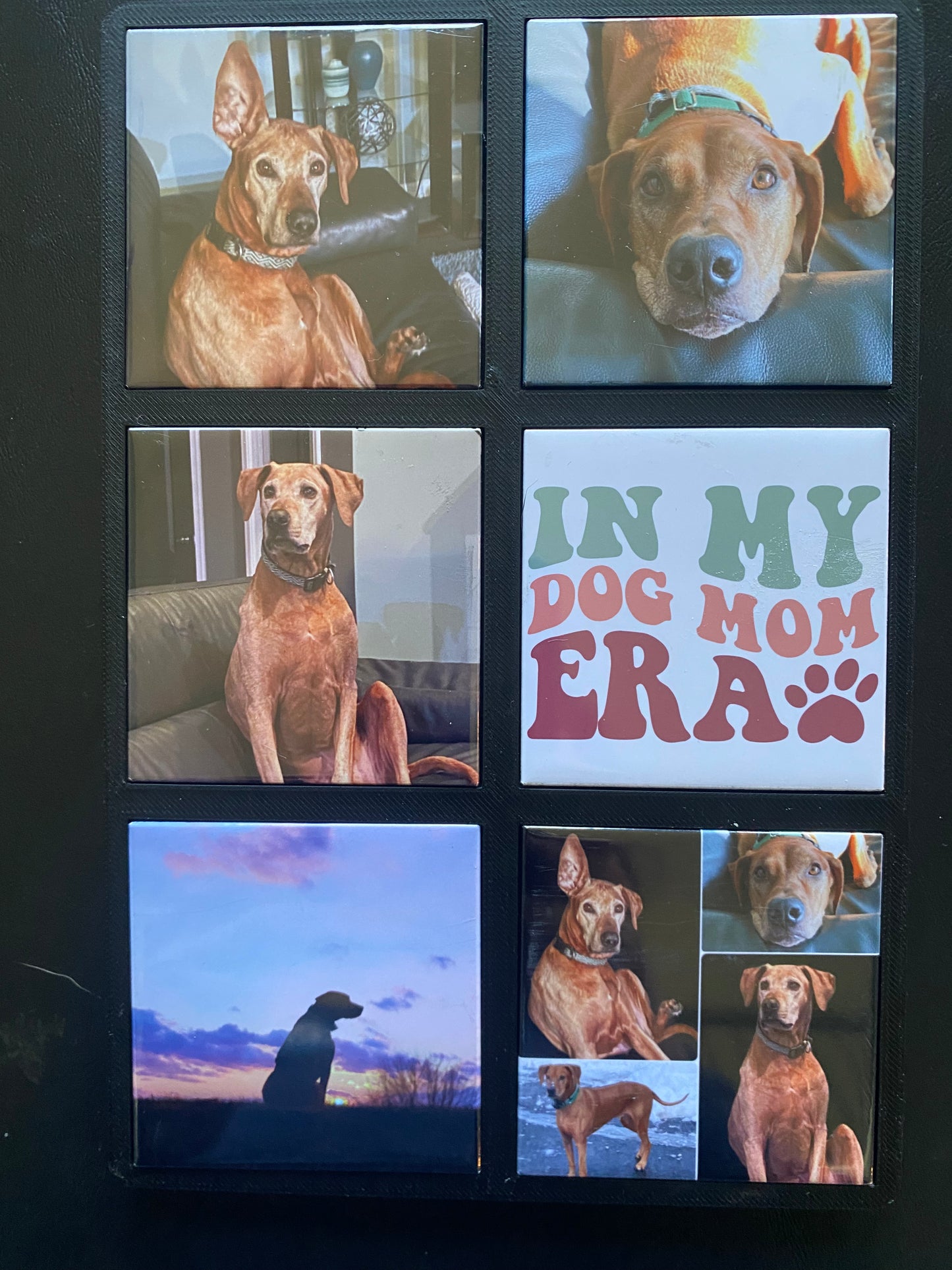 Custom Photo Magnets Set of 6