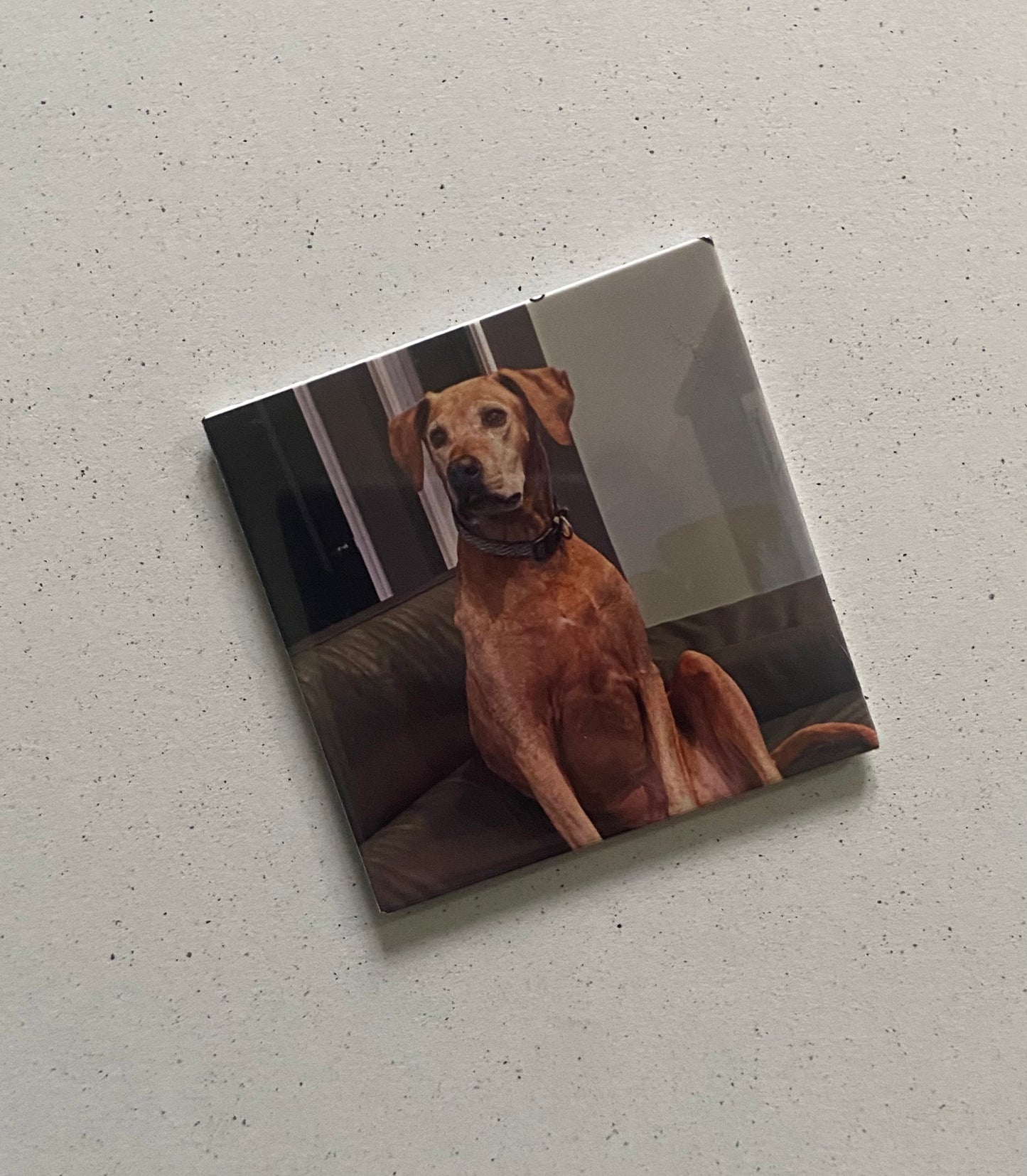 One Custom Photo Magnet